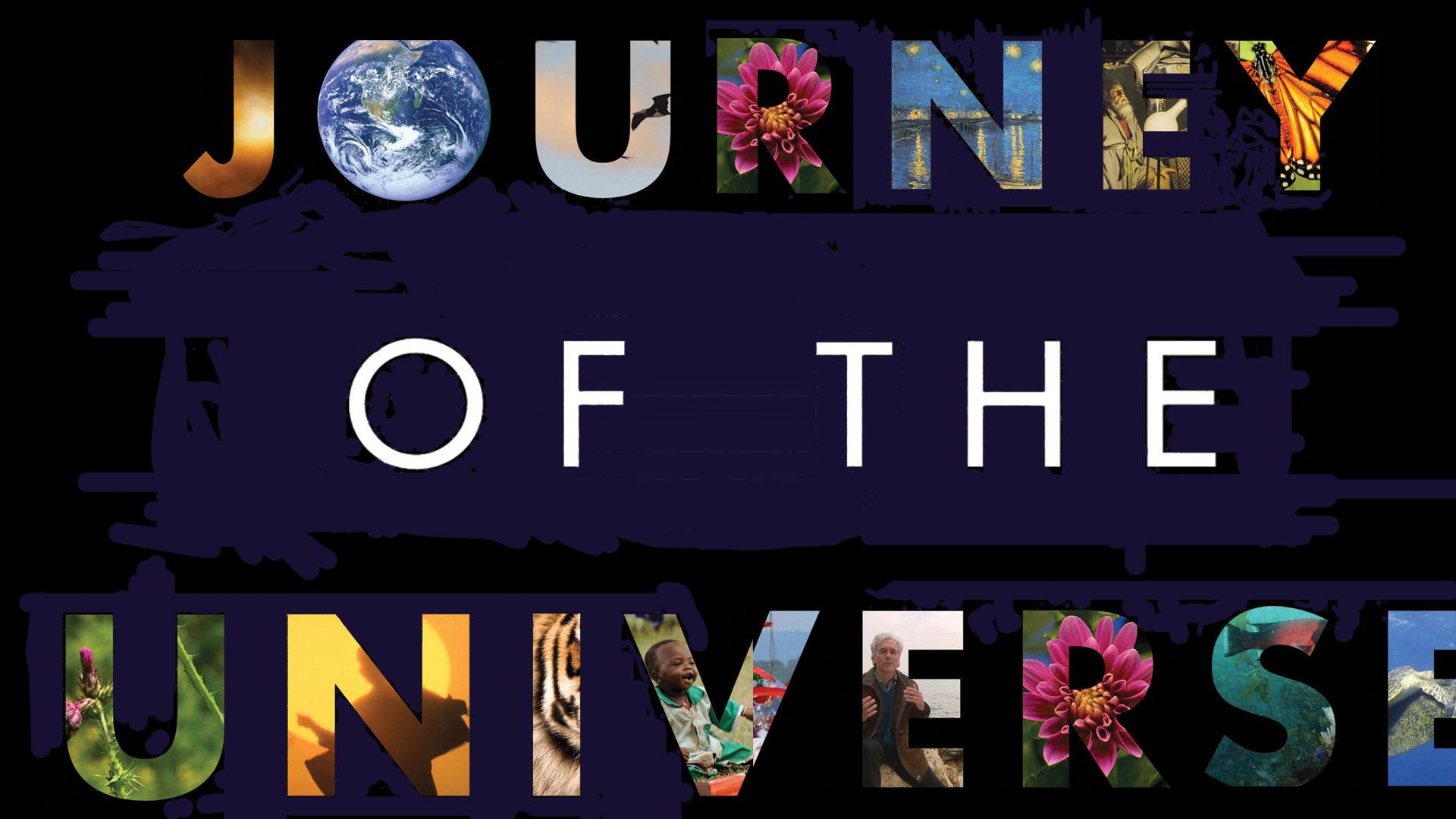 Journey of the Universe