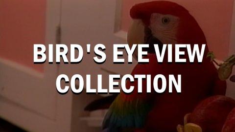 Bird's Eye View Collection